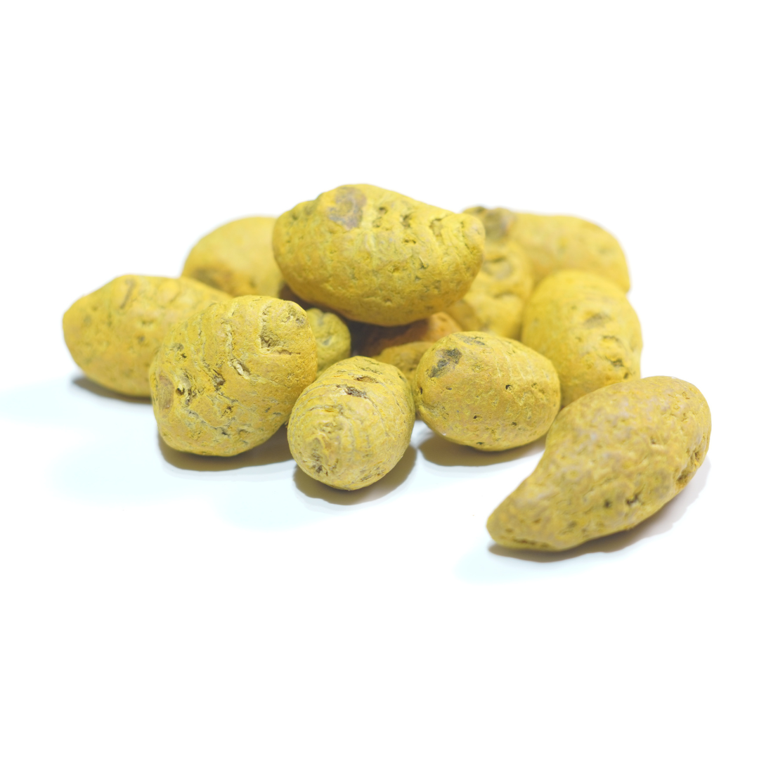 Haldi | Curcuma Longa | Haridra