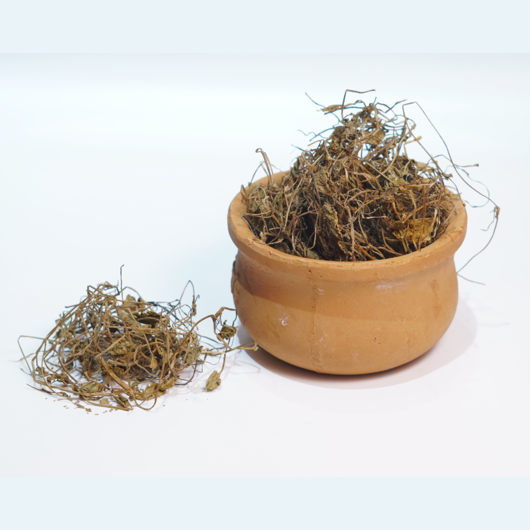 Brahmi | Bacopa Monnieri | Brahmi